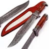 Hunt For Life Bayou Dweller Damascus Steel Bowie Hunting Knife -Elite Knives Shop DHK2226 30270.1566414079